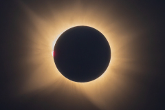 4-corona