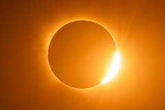 6-anillo