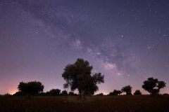 Via-Lactea-Olivos-Madrid