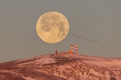 fullmoon Luna llena Bola del Mundo pajaros
