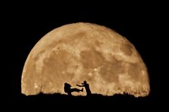 Siluetas fullmoon Luna llena