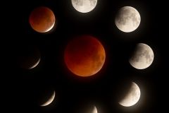 Fases eclipse lunar